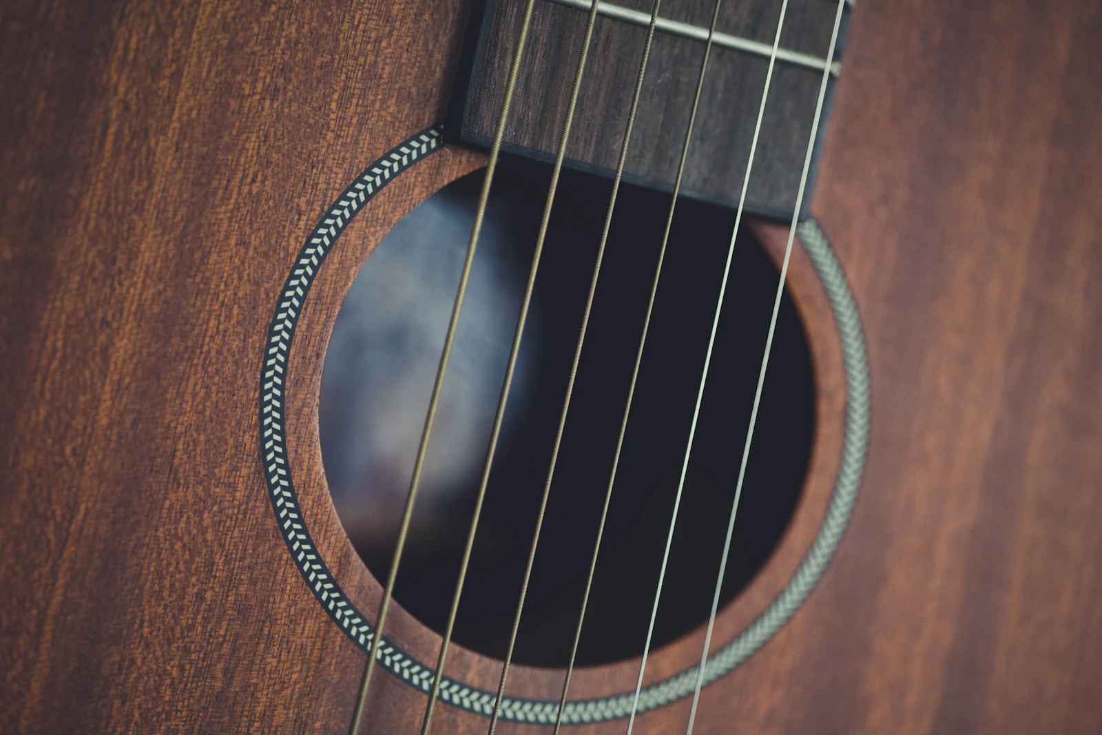 Dettaglio delle corde di una chitarra acustica